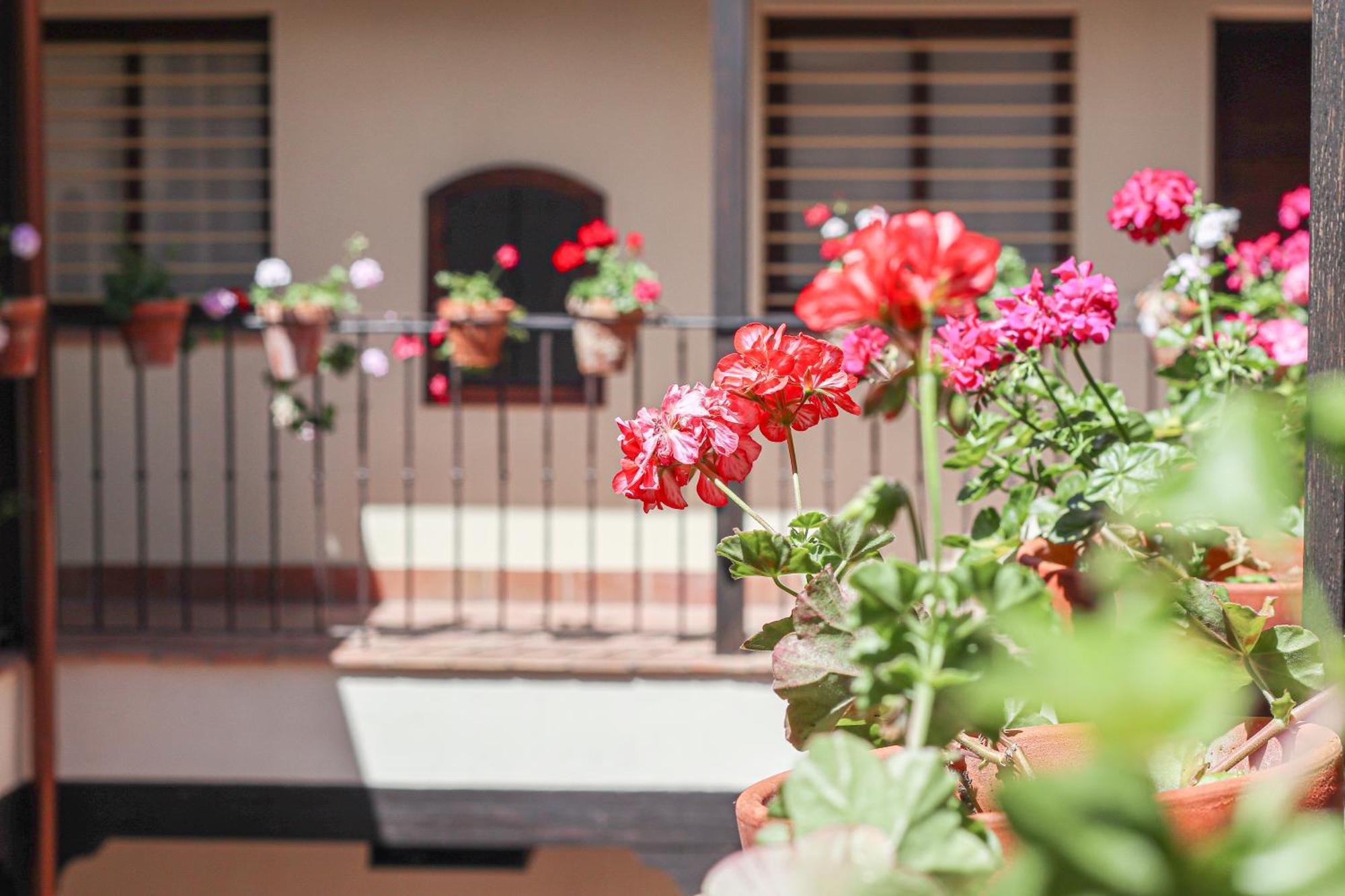 Charming Apt In The Center - 10M Walk Isla Magica Sevilha Exterior foto